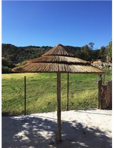 Sombrilla de Junco Africano