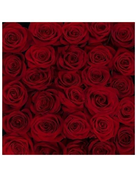 Rosas Variadas | Ramo de 25 tallos | 60cm de alto Rosas Variadas | Ramo de 25 tallos | 60cm de alto