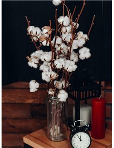 Ramo de Rosas Rojas Naturales | Flor Natural | Ramo de rosas rojas frescas | 60cm de alto