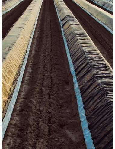 Plastico negro de 700 galgas- Ancho 6M - Metro...
