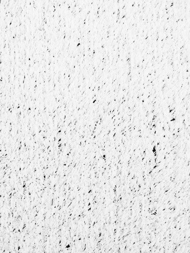 Césped Artificial ColorGrass 10mm Blanco -...