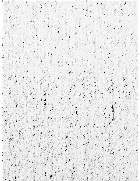 Césped Artificial ColorGrass Blanco - Rollos | Resistente a la Intemperie - fácil instalación Césped Artificial ColorGrass Blanco - Rollos | Resistente a la Intemperie - fácil instalación