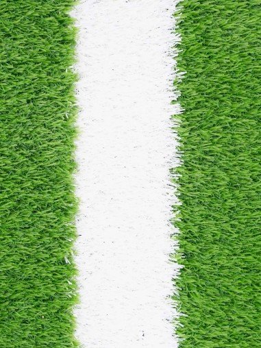 Pista de Sprint Césped Artificial 2x10m | 25mm...