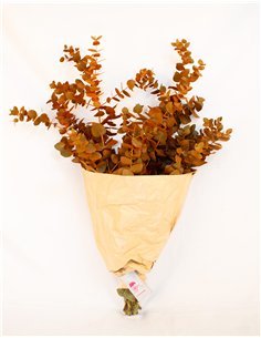 Ramo de Eucalipto Natural Decorativo | 5 Tallos |  Decoración Floral para Hogar y Eventos