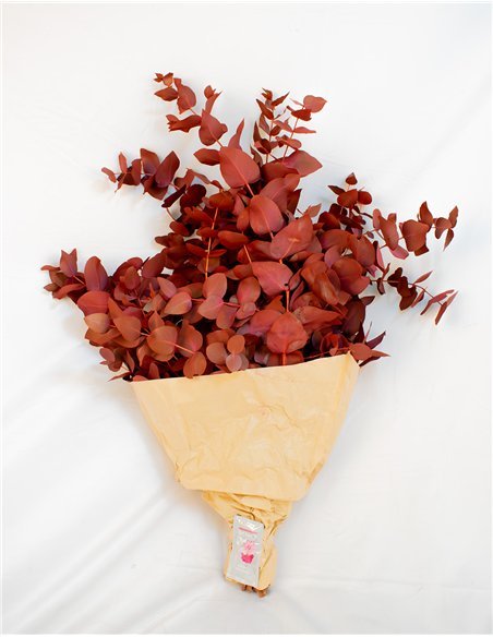 Ramo de Eucalipto Natural Decorativo | 5 Tallos |  Decoración Floral para Hogar y Eventos