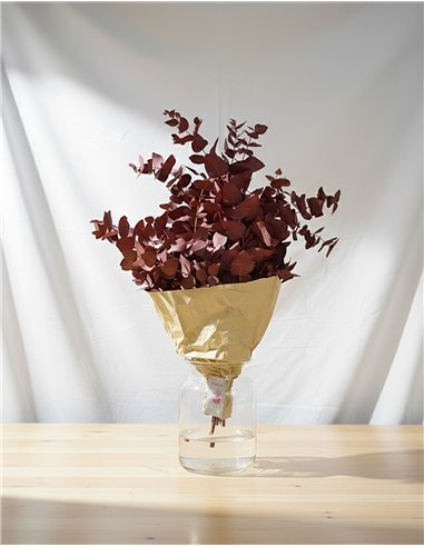 Ramo de Eucalipto Natural Decorativo | 5 Tallos...