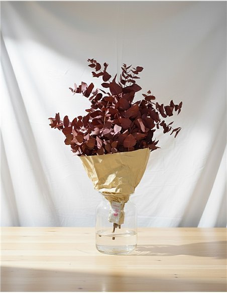 Ramo de Eucalipto Natural Decorativo | 5 Tallos |  Decoración Floral para Hogar y Eventos