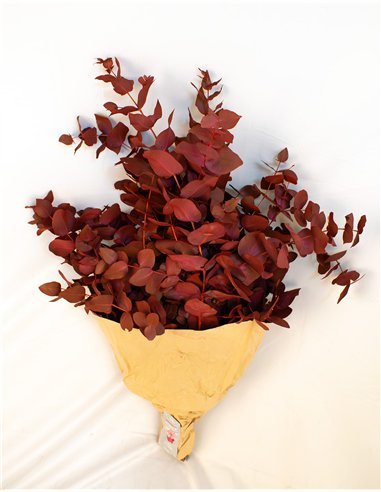 Ramo de Eucalipto Natural Decorativo | 5 Tallos...