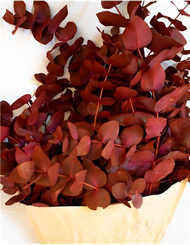 Ramo de Eucalipto Natural Decorativo | 5 Tallos...