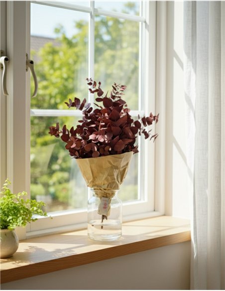 Ramo de Eucalipto Natural Decorativo | 5 Tallos |  Decoración Floral para Hogar y Eventos