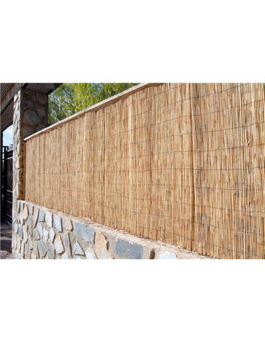 Cañizo bambú chino - Jardin202